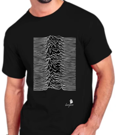 Playera Joy Division
